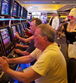 Collect Daily Free Spins From Special Slot Machines With Reward Boost Mechanics