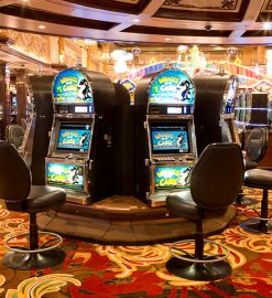 Real Money Casino Games Deliver Thrilling Opportunities For Substantial Player Payouts