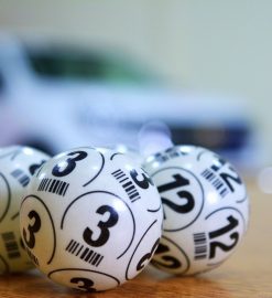 Getting started with number selection platforms feels easier than expected